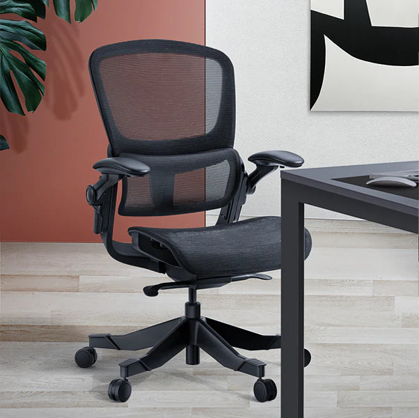 HINOMI H1 Classic V3 Ergonomic Office Chair Office Chair HINOMI V3 Without Headrest