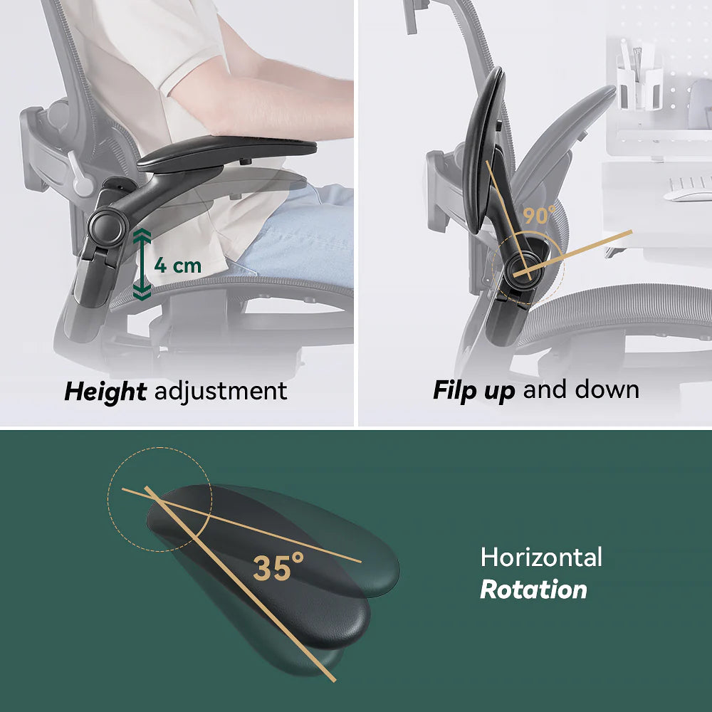 HINOMI H1 Classic V3 Ergonomic Office Chair Office Chair HINOMI