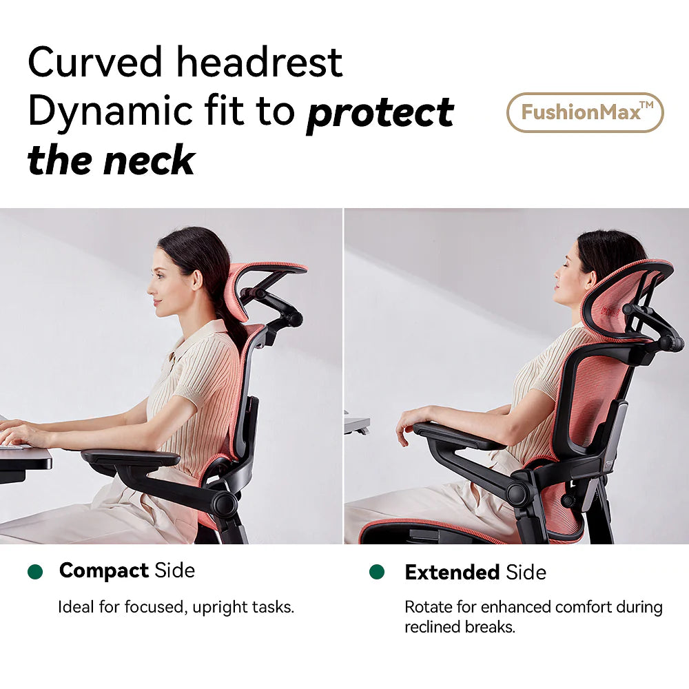 HINOMI H1 Pro Ergonomic Office Chair HINOMI
