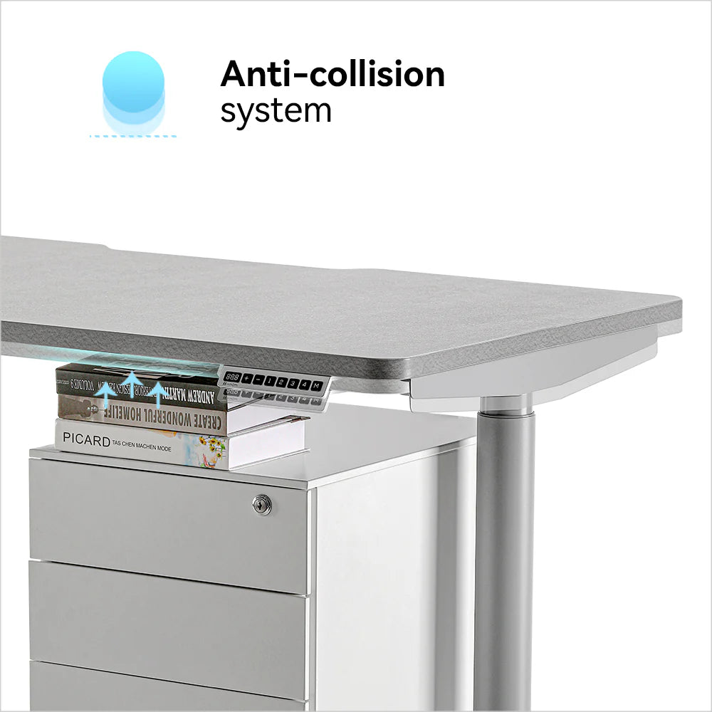 Hinomi S1 Adjustable Dual Motor Standing Desk