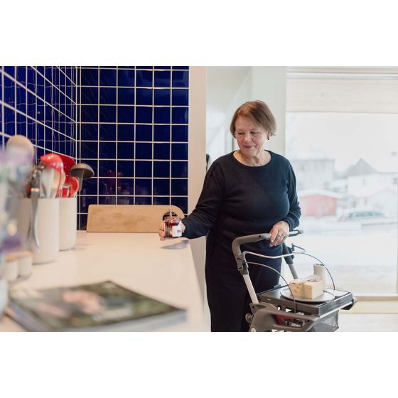 TOPRO Hestia Home Comfort Rollator - Premium Indoor Mobility Assistant Rollator TOPRO