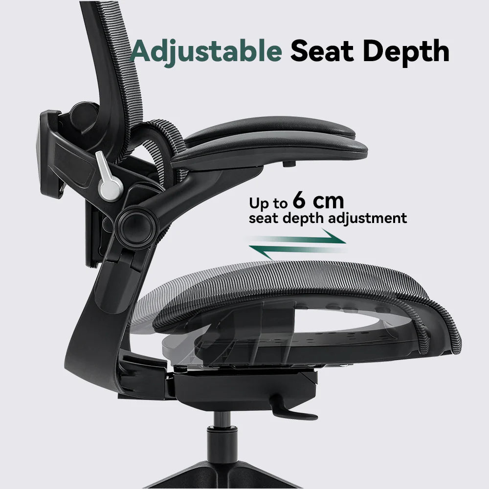 HINOMI H1 Classic V3 Ergonomic Office Chair Office Chair HINOMI