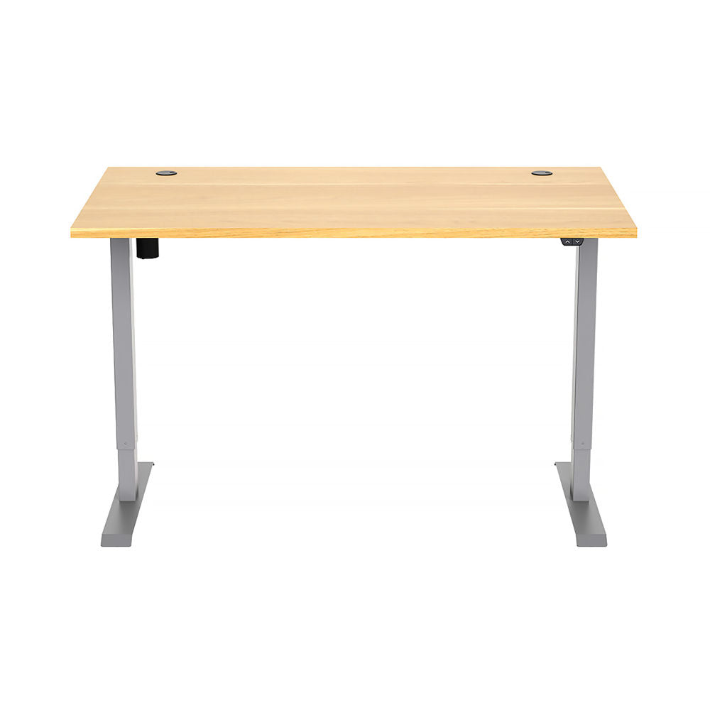 Freedom Height-Adjustable Dual Motor Standing Desk