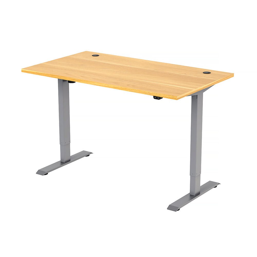 Freedom Height-Adjustable Dual Motor Standing Desk