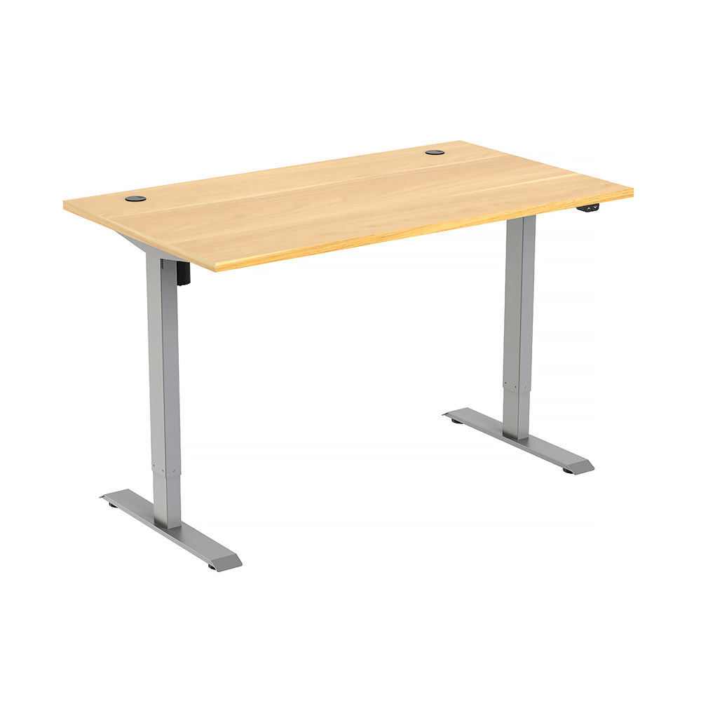 Freedom Height-Adjustable Dual Motor Standing Desk