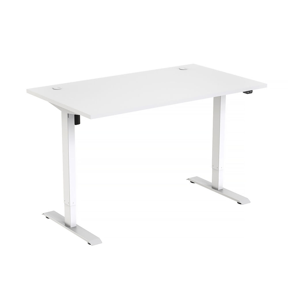Freedom Height-Adjustable Dual Motor Standing Desk