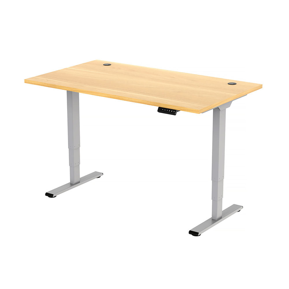 Freedom Plus Height-adjustable Dual Motor Standing Desk