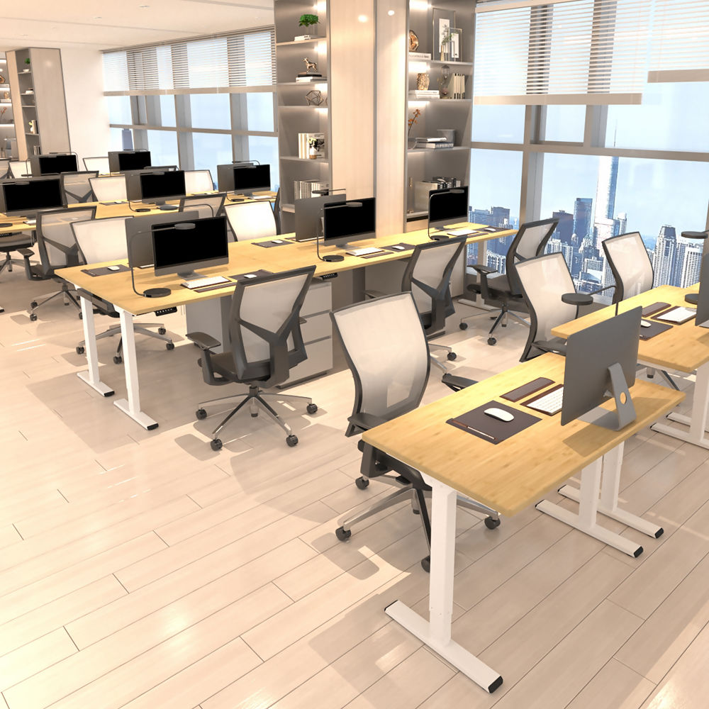 Freedom Plus Height-adjustable Dual Motor Standing Desk