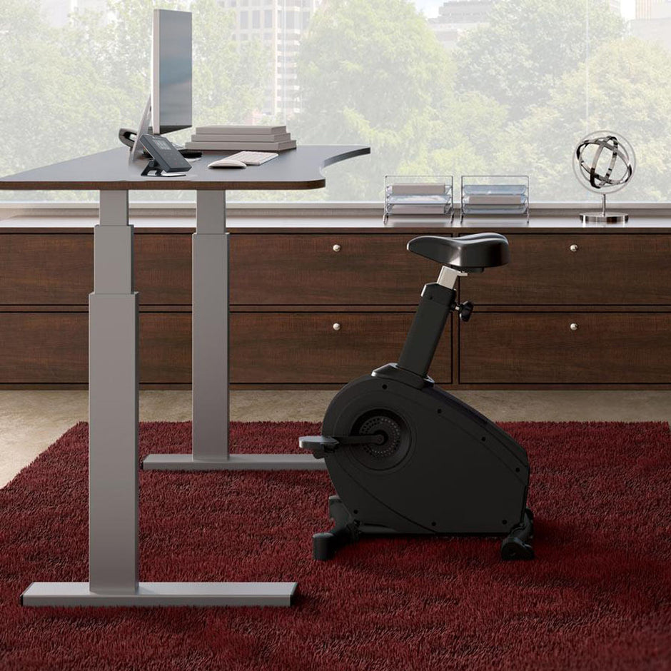 LifeSpan C3-SC110 Under Desk Bike Desk Bike LifeSpan