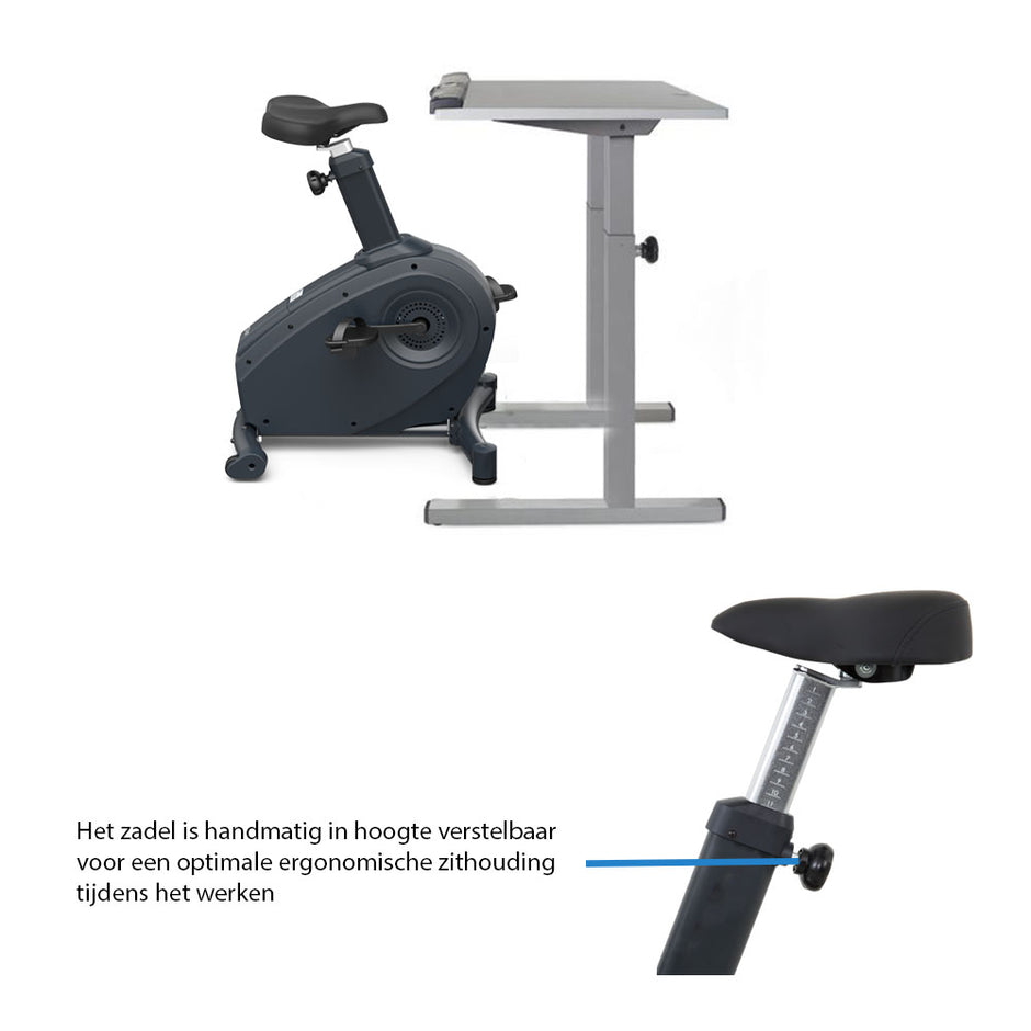 LifeSpan C3-DT5 Desk Bike Desk Bike LifeSpan