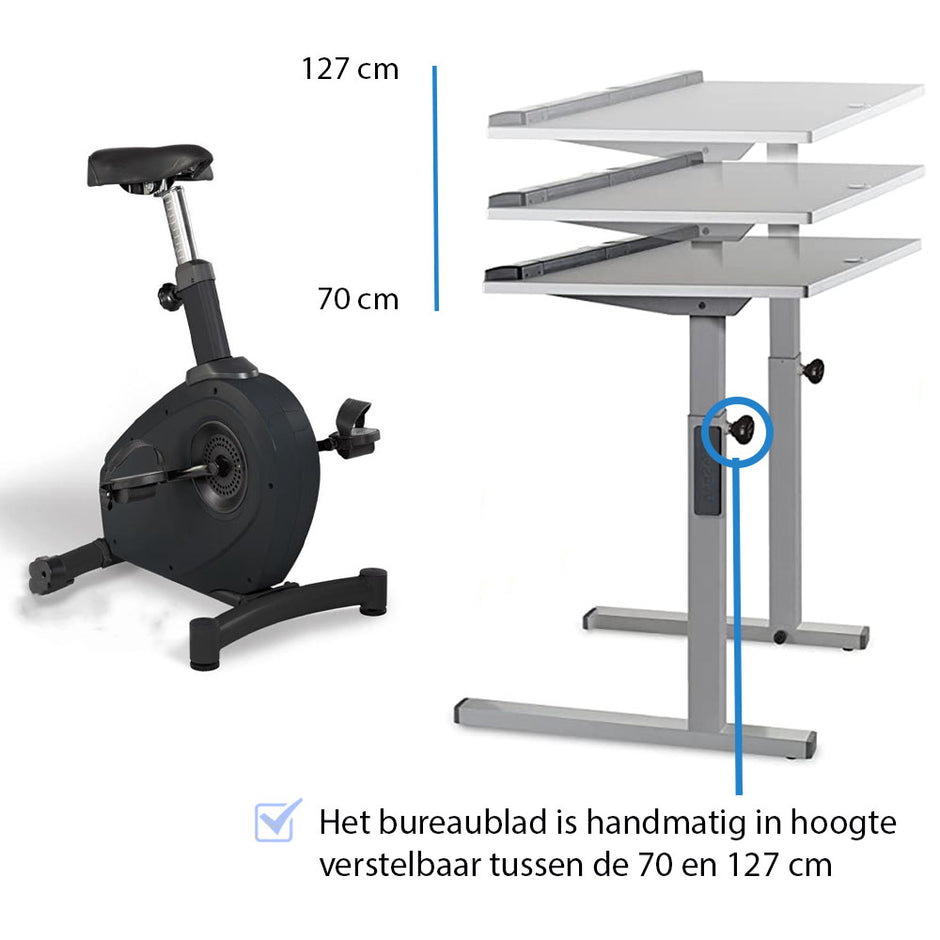 LifeSpan C3-DT5 Desk Bike Desk Bike LifeSpan