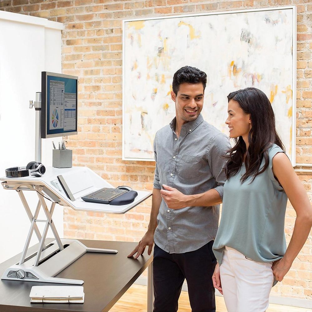 Fellowes Lotus Dual monitor Standing Desk Converter