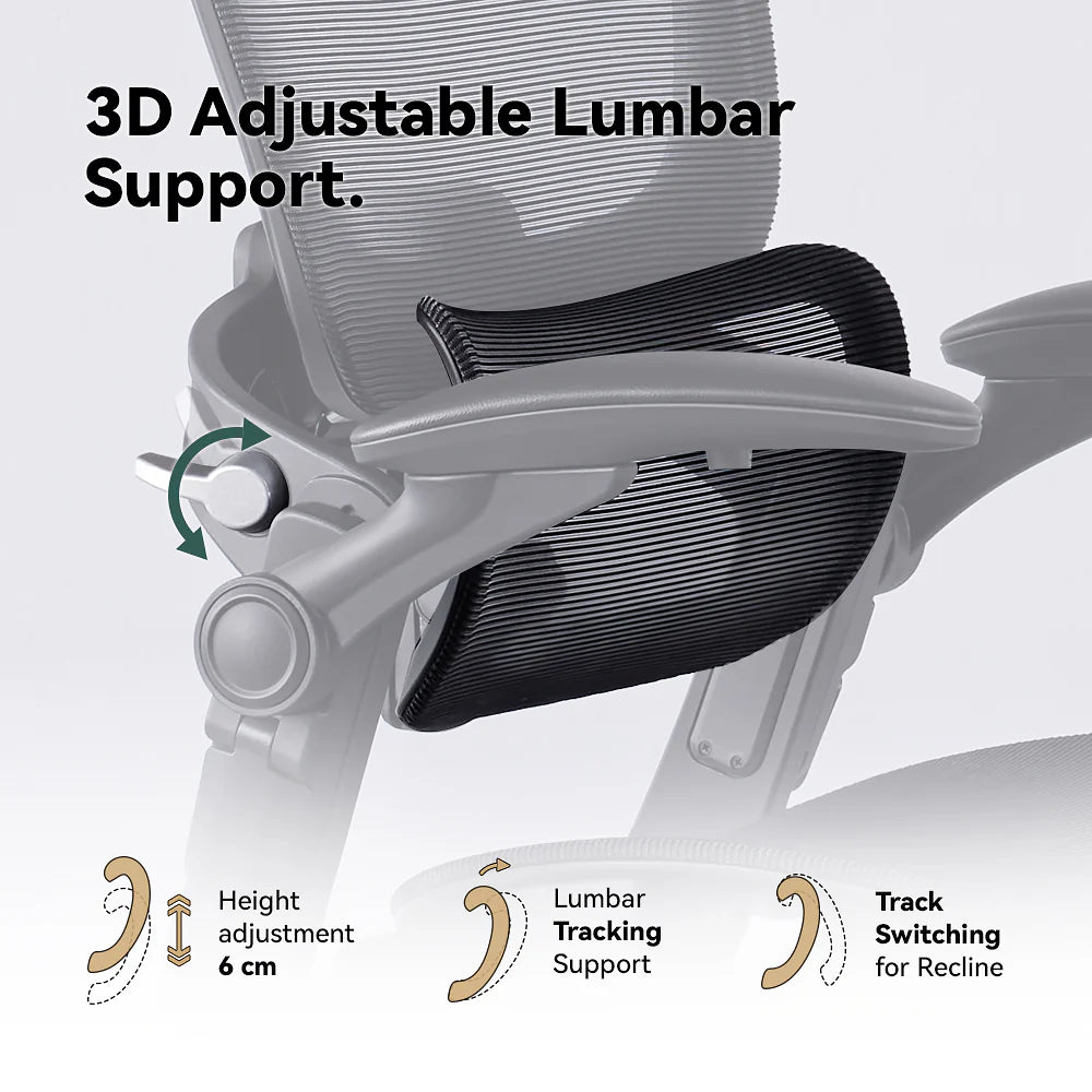HINOMI H1 Classic V3 Ergonomic Office Chair Office Chair HINOMI