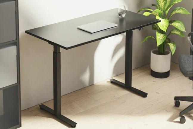 Exec 2 standing desk