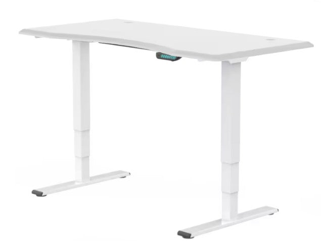 E5 Dual Motor Standing Desk Ergonest White White