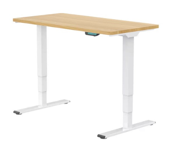 E5 Dual Motor Standing Desk Ergonest White Bamboo