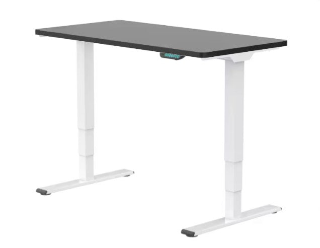 E5 Dual Motor Standing Desk Ergonest White Ebony