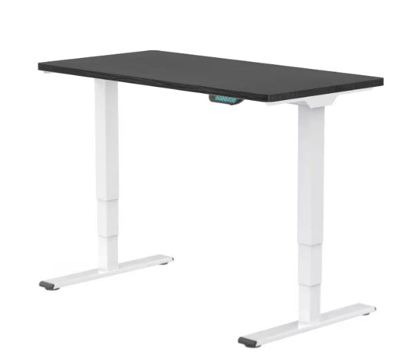 E5 Dual Motor Standing Desk Ergonest White Black
