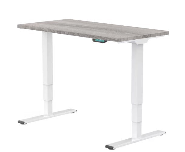 E5 Dual Motor Standing Desk Ergonest White Gray