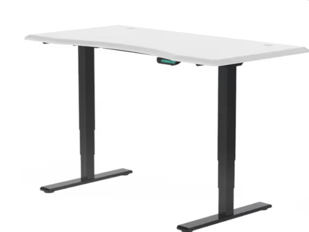 E5 Dual Motor Standing Desk Ergonest Black White