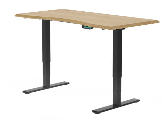 E5 Dual Motor Standing Desk Ergonest Black Bamboo