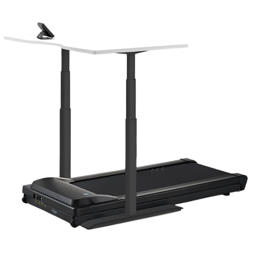 LifeSpan TR1200 Treadmill Desk + Standing Desk & SC130 Console