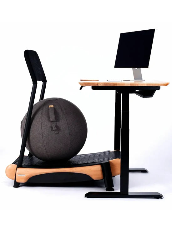 Walkolution Sitting Active Ball