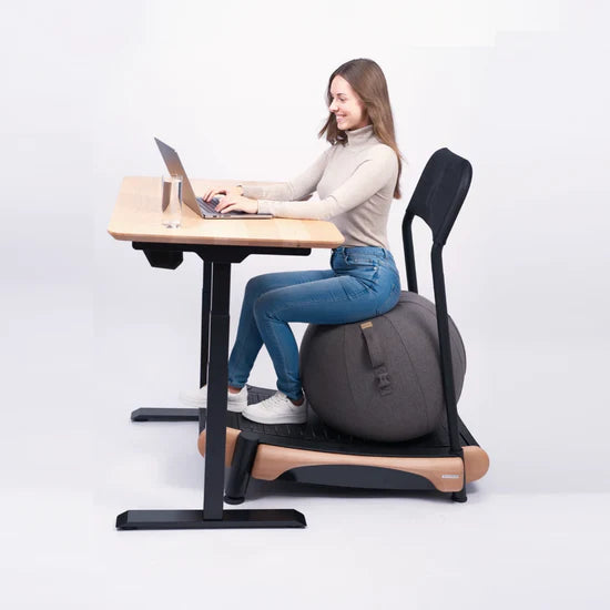 Walkolution Sitting Active Ball