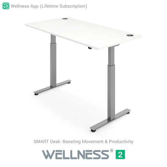 WELLNESS 2 Smart Dual-Motor Standing Desk