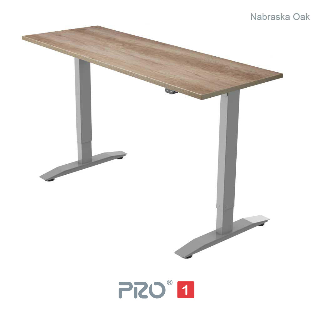 PRO 1 Single Motor Standing Desk