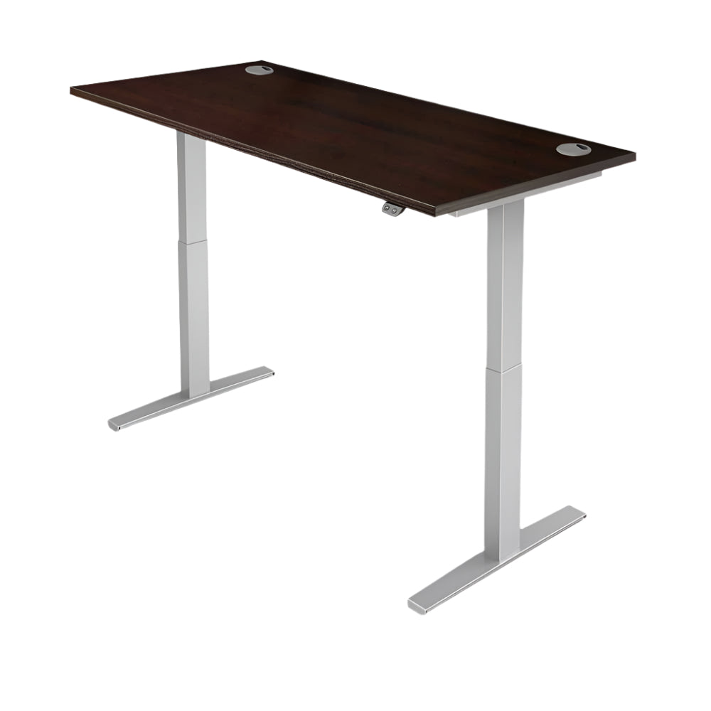 PRO 2 Dual Motor Electric Height Adjustable Standing Desk