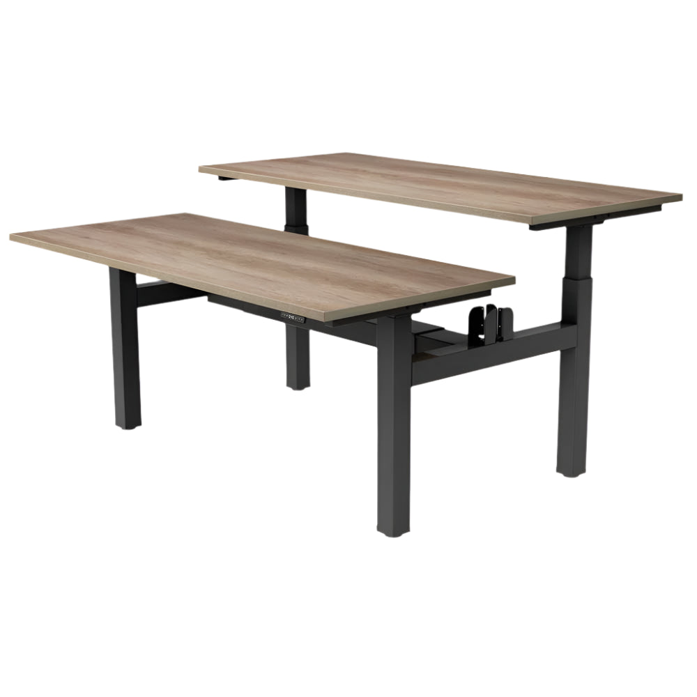 DUO Dual Motor Electric Height Adjustable Standing Desk