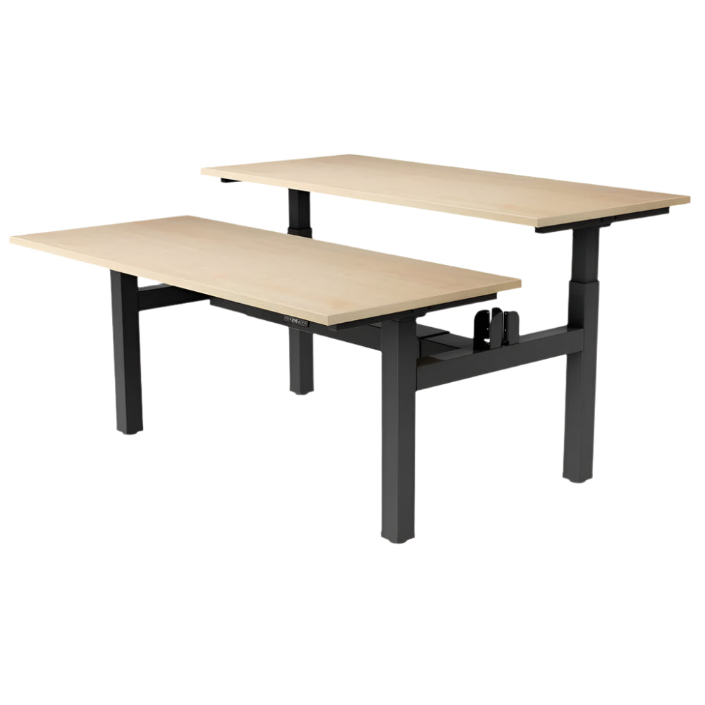 DUO Dual Motor Electric Height Adjustable Standing Desk