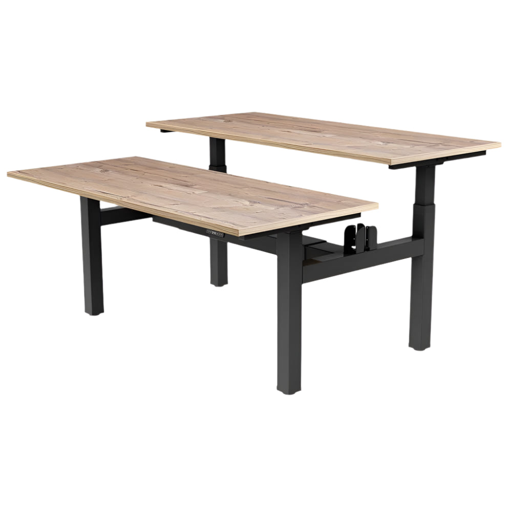 DUO Dual Motor Electric Height Adjustable Standing Desk