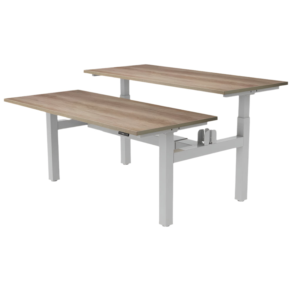 DUO Dual Motor Electric Height Adjustable Standing Desk