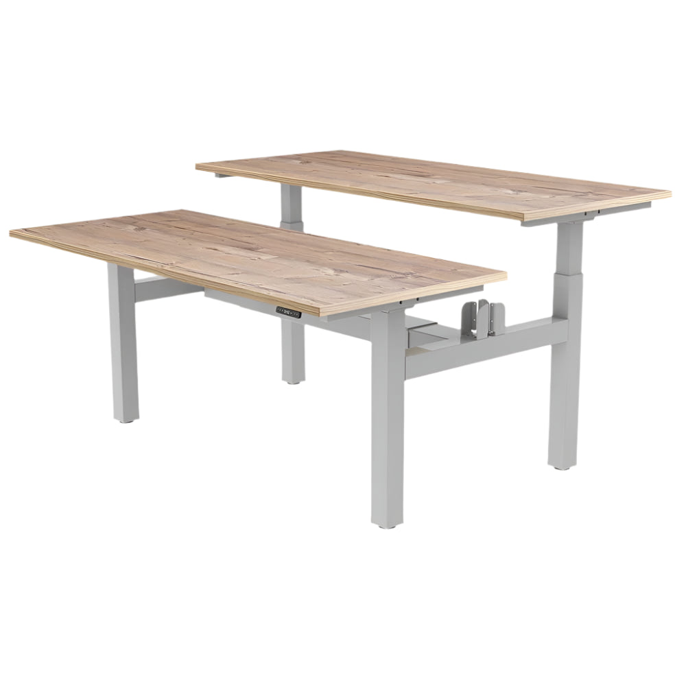 DUO Dual Motor Electric Height Adjustable Standing Desk