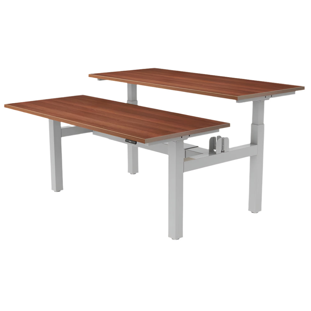 DUO Dual Motor Electric Height Adjustable Standing Desk