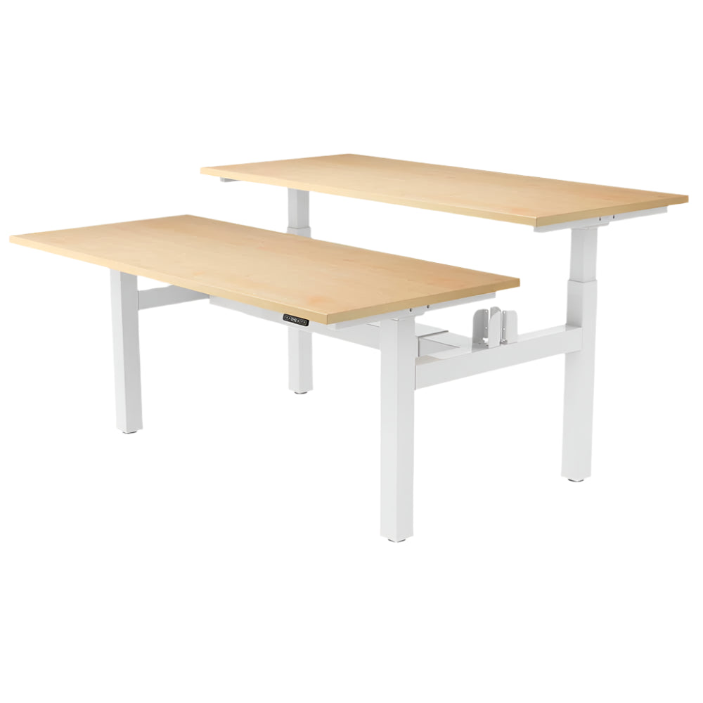 DUO Dual Motor Electric Height Adjustable Standing Desk