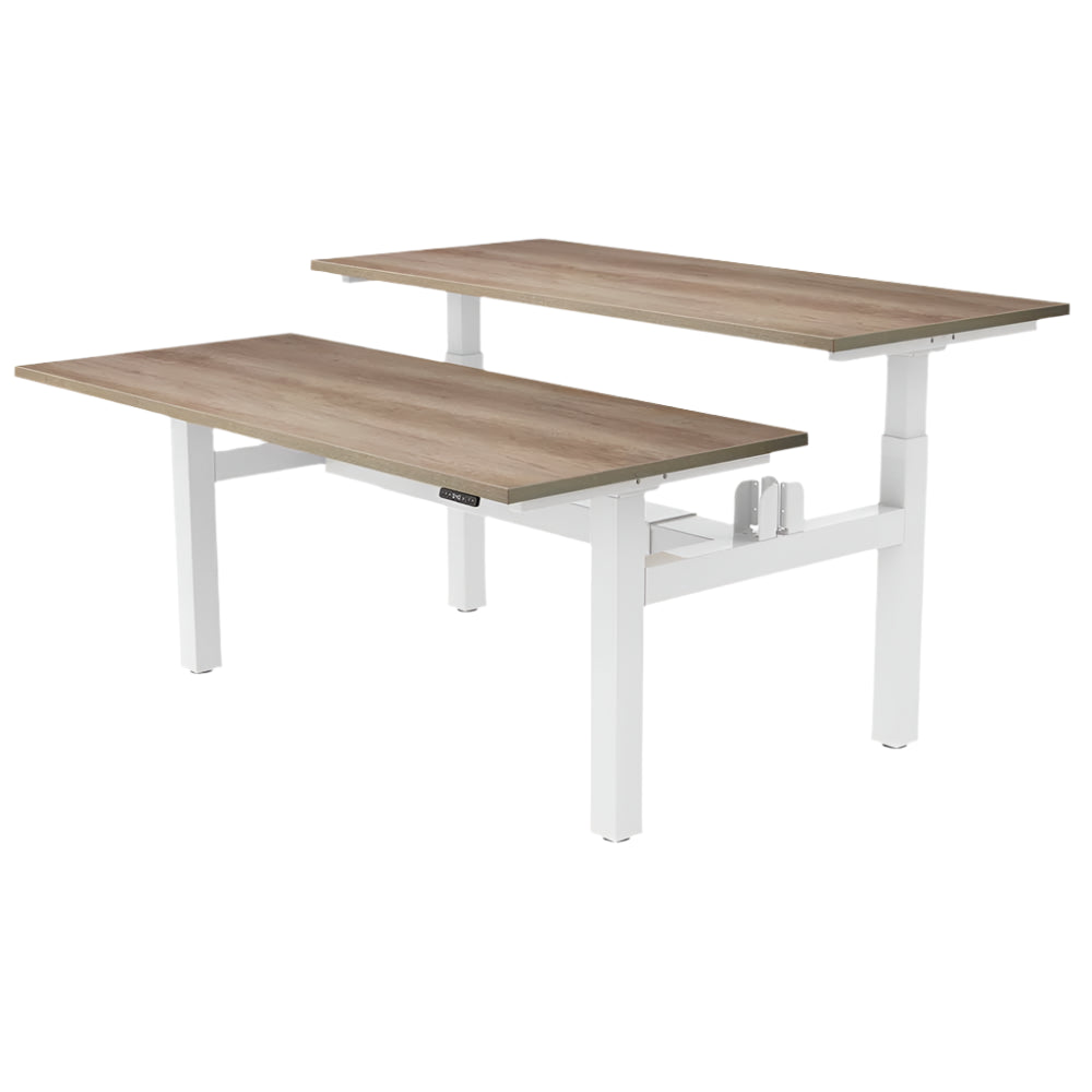 DUO Dual Motor Electric Height Adjustable Standing Desk