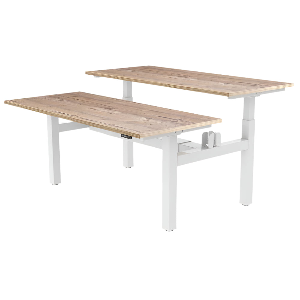 DUO Dual Motor Electric Height Adjustable Standing Desk