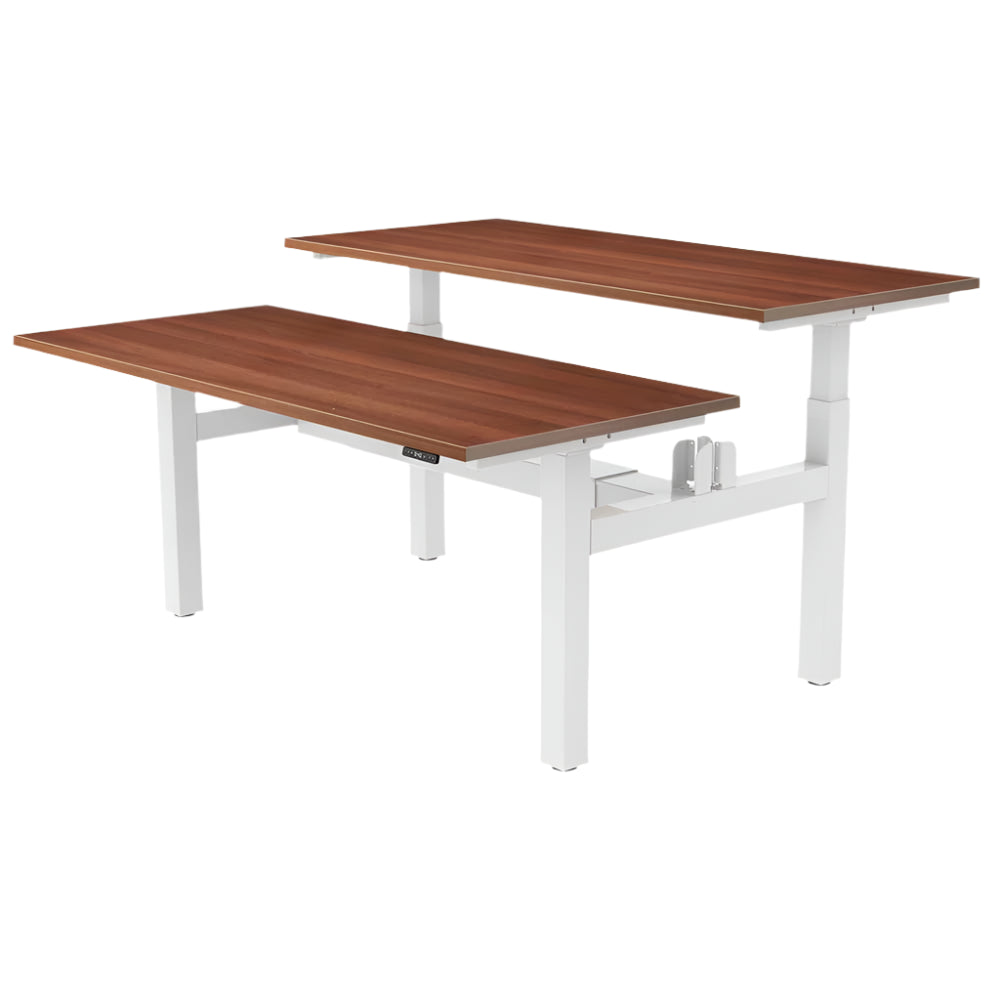 DUO Dual Motor Electric Height Adjustable Standing Desk