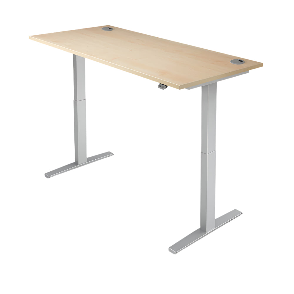 PRO 2 Dual Motor Electric Height Adjustable Standing Desk