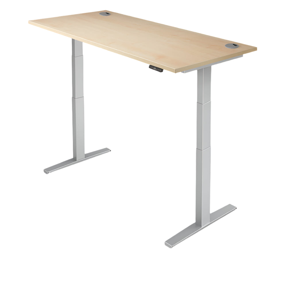Yo-Yo DESK PRO 2+ Standing Desk YO-YO DESK
