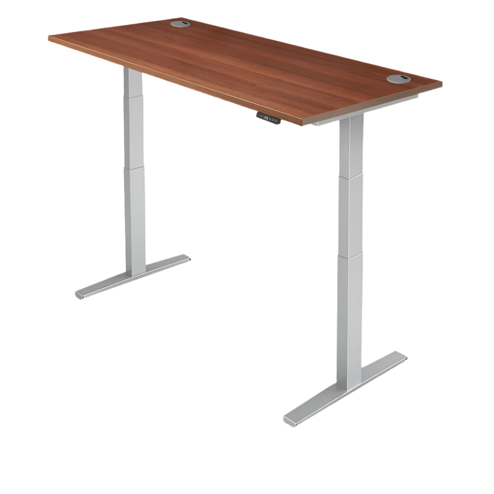 Yo-Yo DESK PRO 2+ Standing Desk YO-YO DESK