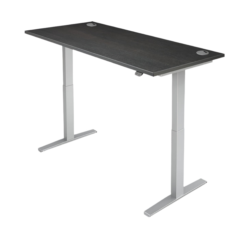 Yo- Yo Desk PRO 2 Standing Desk YO-YO DESK