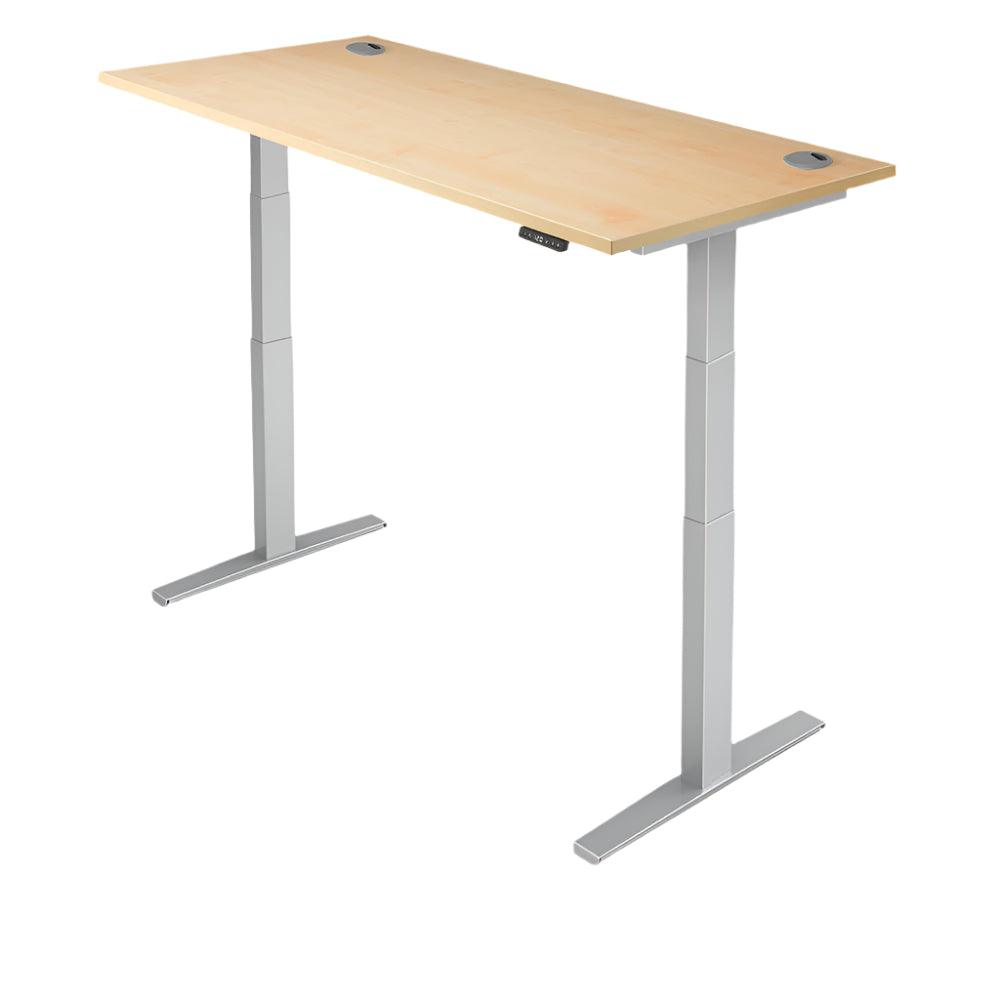 Yo-Yo DESK PRO 2+ Standing Desk YO-YO DESK