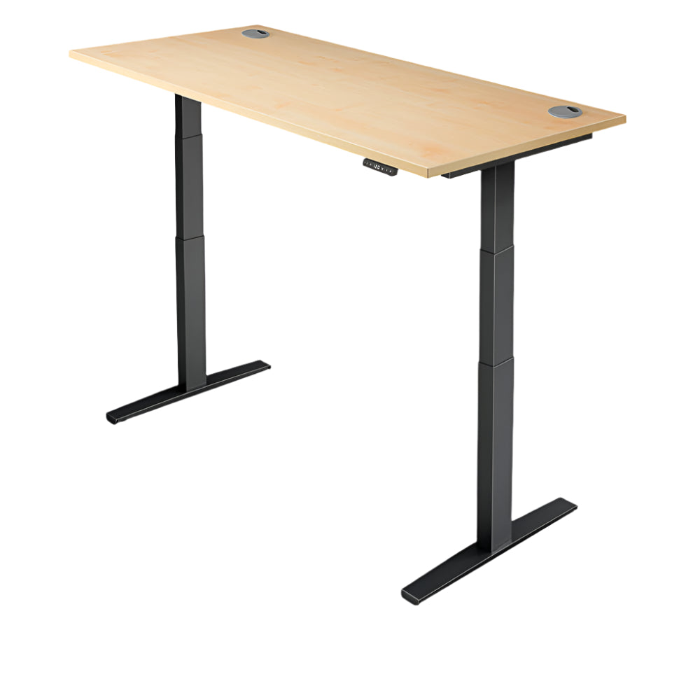 Yo-Yo DESK PRO 2+ Standing Desk YO-YO DESK