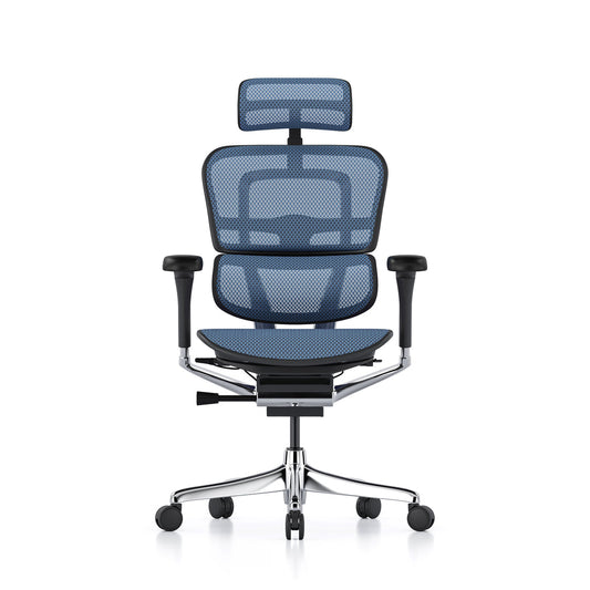 Ergohuman Office Chair- Blue Mesh Office Chair Ergohuman