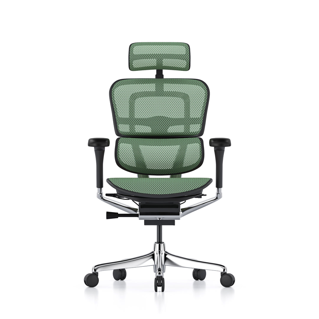 Ergohuman Office Chair- Green Mesh Office Chair Ergohuman With Headrest Black