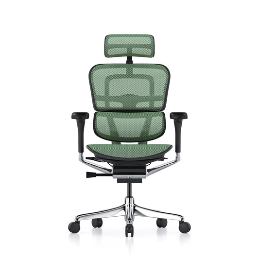 Ergohuman Office Chair- Green Mesh Office Chair Ergohuman With Headrest Black